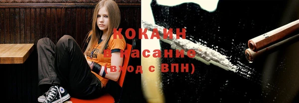 бошки Осташков
