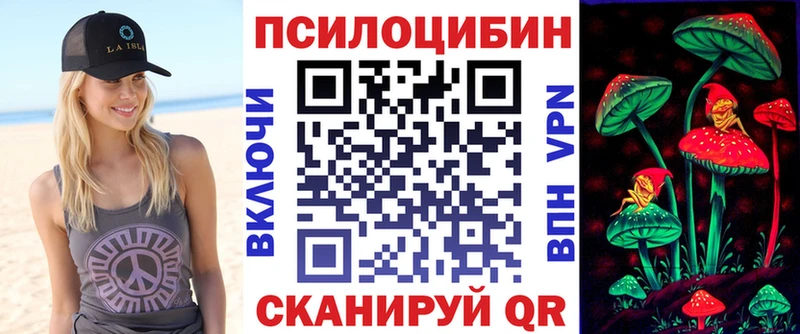 Псилоцибиновые грибы Psilocybine cubensis Пролетарск